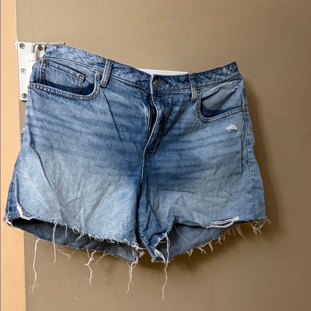 Wild Fable Distressed Blue Jean Shorts